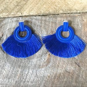 Blue Fringe Tassel Earrings